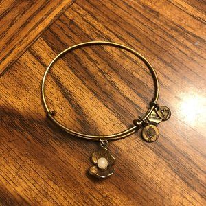 Alex and Ani Oyster charm bangle